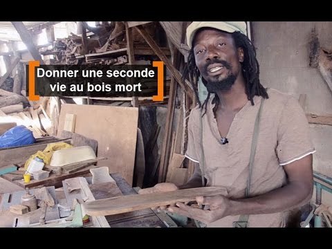 Burkina Faso : Donner une seconde vie au bois mort