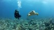 Breathe Easy Underwater with Cressi Scuba Diving Gear