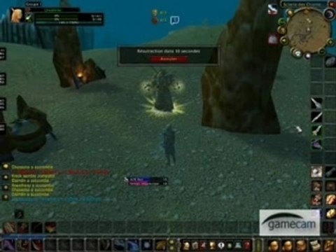 Twinks lvl 19 en goulet de warsong