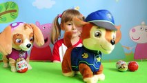 Patrulla pata video Niños para patrulla cachorro con juguetes