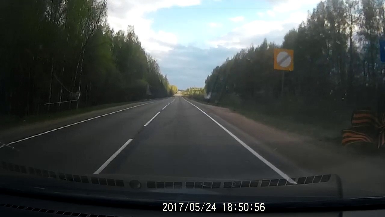 Moose Disaster