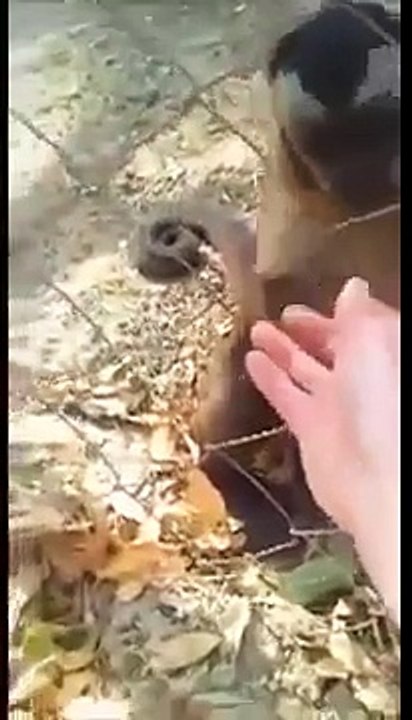 Plastik Kelepçeden Nasıl Kurtulunulur?