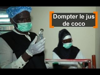 Bénin : Dompter le jus de coco