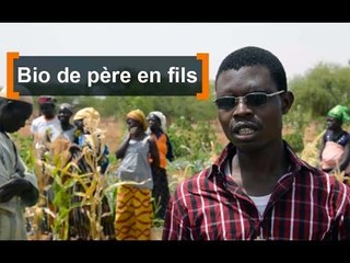 Burkina Faso : Bio de père en fils