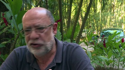 Trouble in paradise: Rio's botanical garden becomes battleground