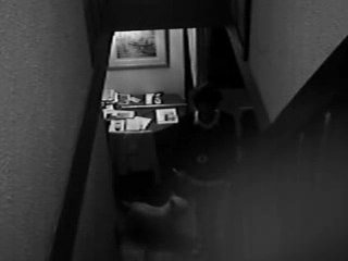 We might even be rockstars