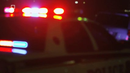 A New Study Suggests Police Speak Less Respectfully to Black Drivers