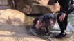 Cincinnati Zoo Visitors May Get Surprise Peeks at Baby Hippo