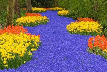 BLACK & WHITE -- MYRON __ 354 PAINTINGS with CLASSIC MUSIC