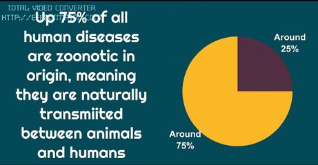 World Zoonoses Day