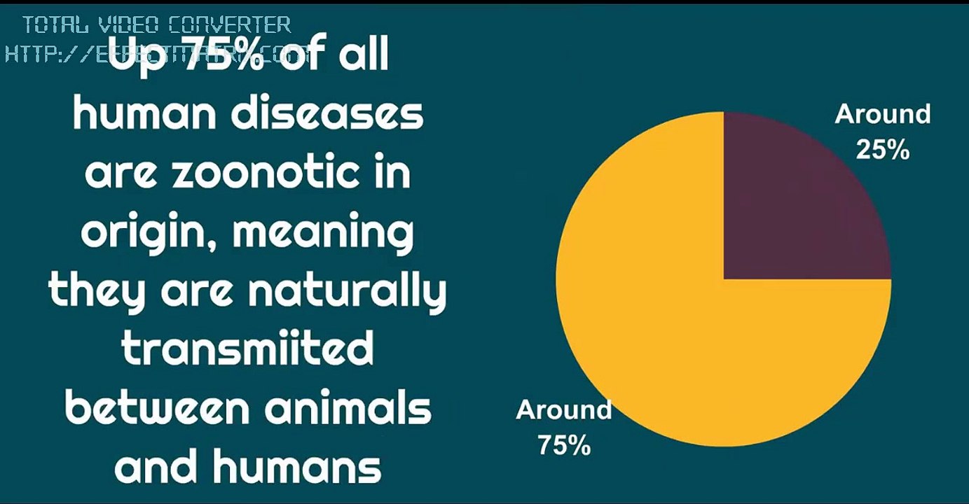 World Zoonoses Day