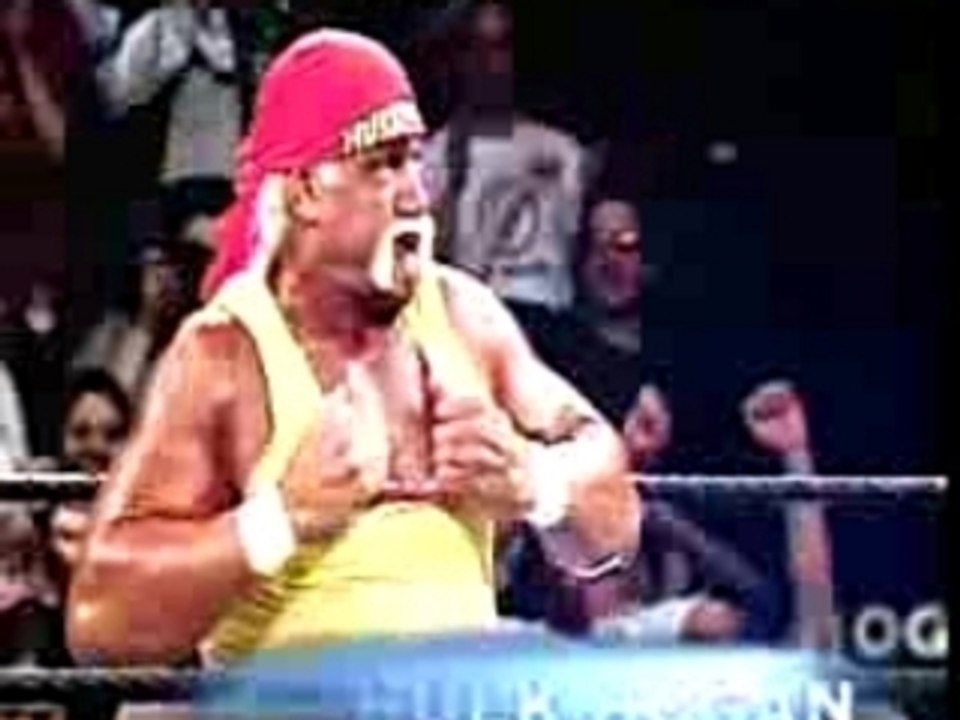 Hulk Hogan & Shawn Michaels vs  Backlash 2005