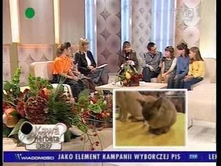 Projekt "Dzieciaki .... w programie Kawa czy herbata.