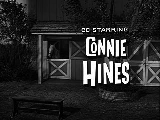 Mister Ed S03E06 - Horse Sense