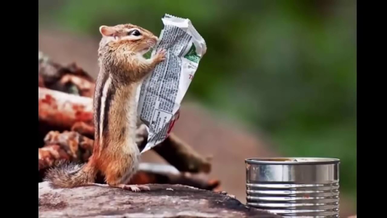 100 Funny Photos Taken At The Right Moment