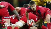 Six Nations 2015- how will Wales do- - Guardian Sport