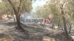 Report TV - Situata me zjarret në vend, aktive 9 vatra zjarri, ja ku janë