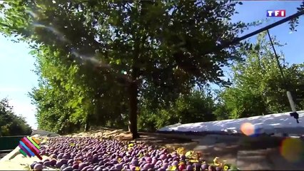 Un guéridon - Kezaco - Quotidien Express du Mercredi 14 Septembre