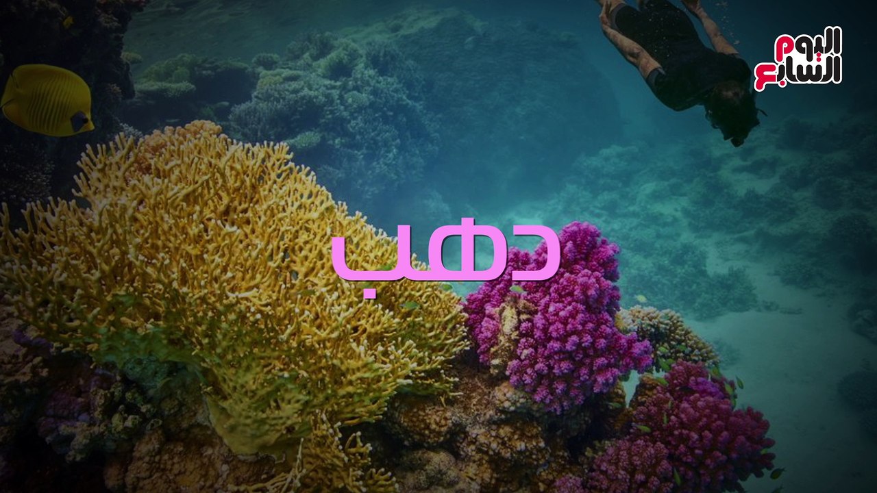 الكهرباء