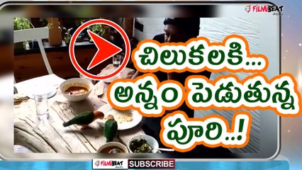 Puri Jagannadh playing with his Pets And cockatoo