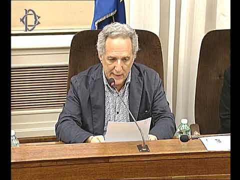 Roma - Audizione maresciallo Carofiglio (28.06.17)