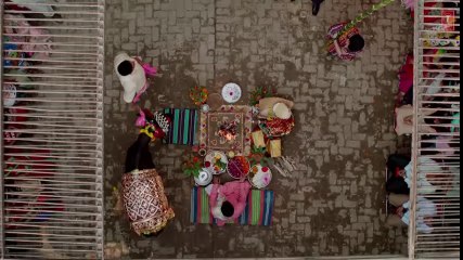 Bakheda Video Song With Lyrics -- Toilet- Ek Prem Katha - Akshay Kumar, Bhumi - Sukhwinder ,Sunidhi -