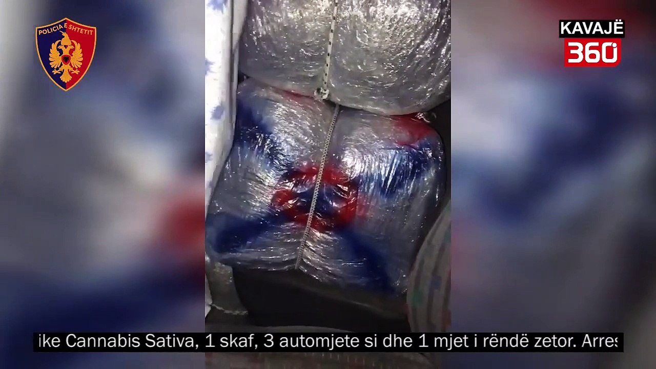 Zgjerohet rrejti i drogës në Kavajë, në pranga 5 persona, 5 të tjerë në kërkim. Ja emrat (360video)