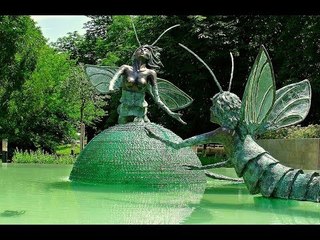 Kỳ lạ loài vật sinh ra chỉ có 3 giờ đồng hồ để sống trên cõi đời này.