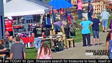 Flea Market and Craft Fair till 2pm near Beaver Dam Wisconsin