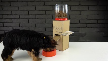 DIY Puppy Dog Food Dispenser from Cardboard at Home