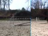 Cheval de sport saute une ligne d'obstacles