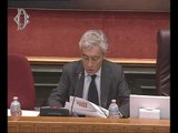 Roma - Equità trattamenti previdenziali, audizione Boeri (28.06.17)