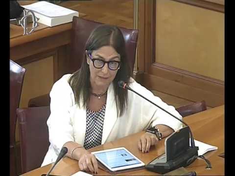 Roma - Banda larga, audizione Telecom Italia (28.06.17)