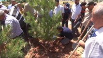 Tunceli'de 15 Temmuz Şehitleri Anısına Fidan Dikildi