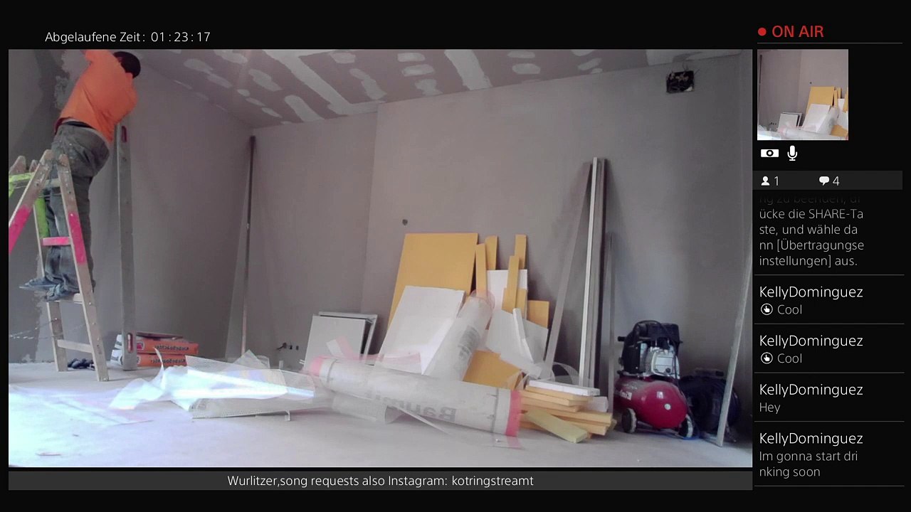 Pfusch&CO GMBH (251)