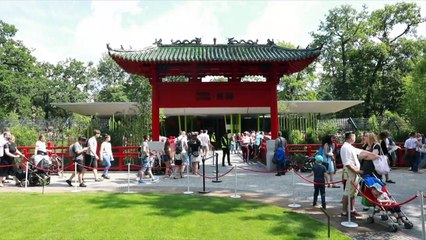 Un panda "ambassadeur" fête son anniversaire au zoo de Berlin