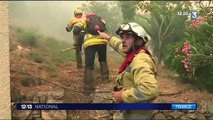 Pyrénées-Orientales : un incendie ravage 180 hectares de forêt