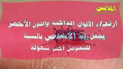 4 أسباب تجعل جسدك جاذب للناموس أكثر من غيرك : منها فصيلة الدم