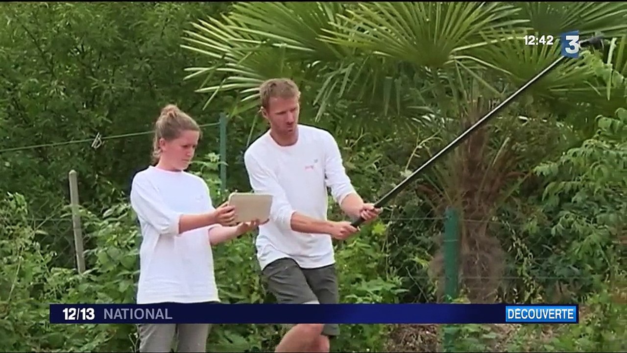 Gers : une villa gallo-romaine du IIIe siècle découverte à Auch