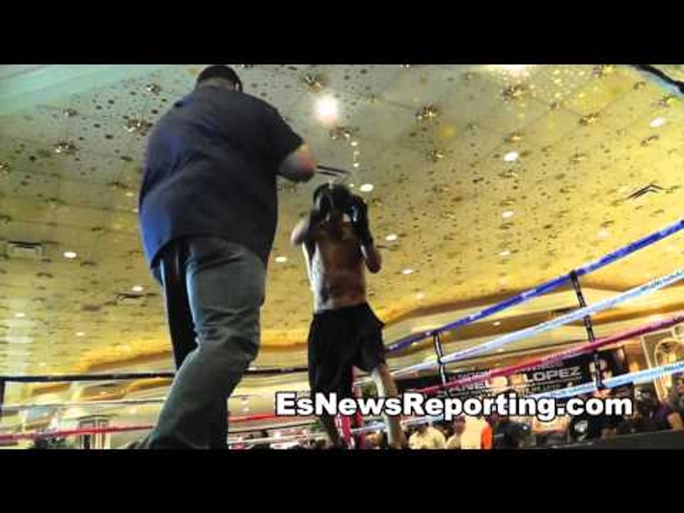 Leo Santa Cruz Working Mitts LAS VEGAS
