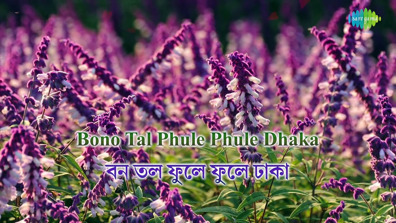 Bonotal Phule Phule Dhaka - বনতল ফুলে ফুলে ঢাকা -Hemanta Mukherjee - Bengali lyrical video