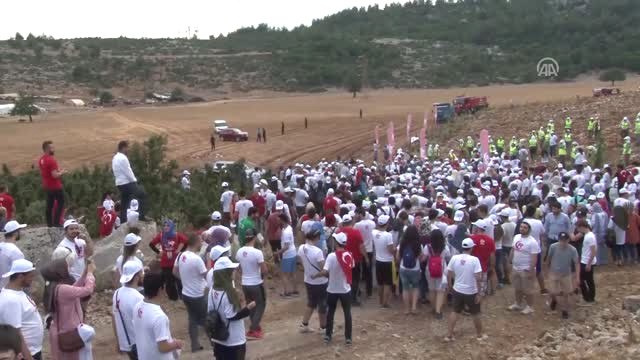 15 Temmuz Şehitleri Için Hatıra Ormanı Oluşturuldu