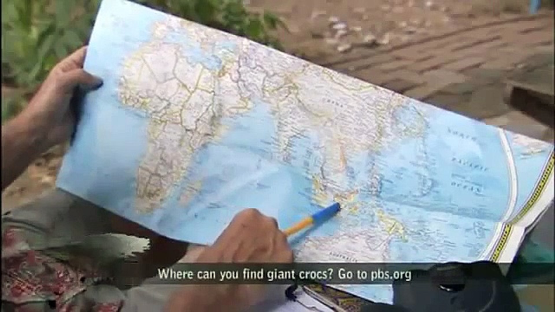 ⁣Animal planet -  Giant Sized Crocodiles