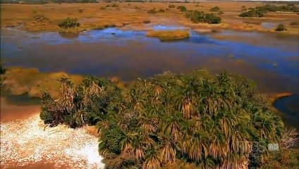 Animal planet -  Kalahari-2  The Flooded Desert