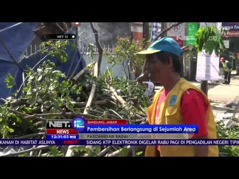 Hujan Badai di Bandung, Pohon Pohon Tumbang - NET12