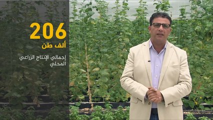 الاقتصاد والناس-قطر.. خطط طموحة لتحقيق الاكتفاء الزراعي