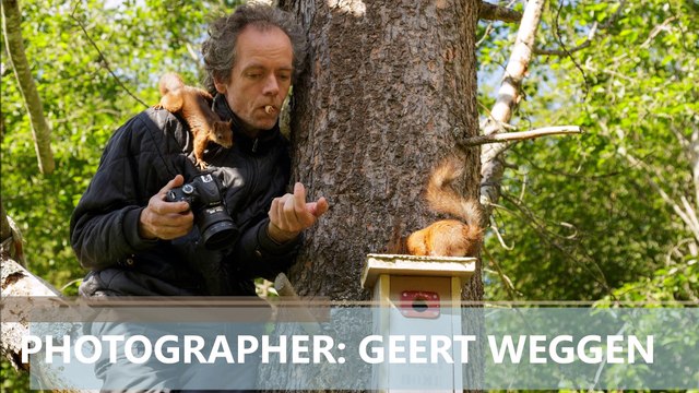 Photographer in tree with squirrels