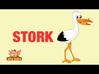 Animal Facts - Stork