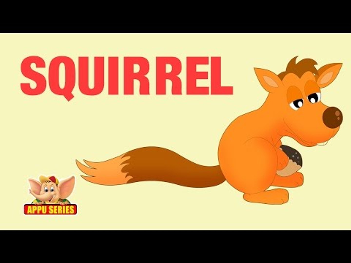 ⁣Animal Facts - Squirrel