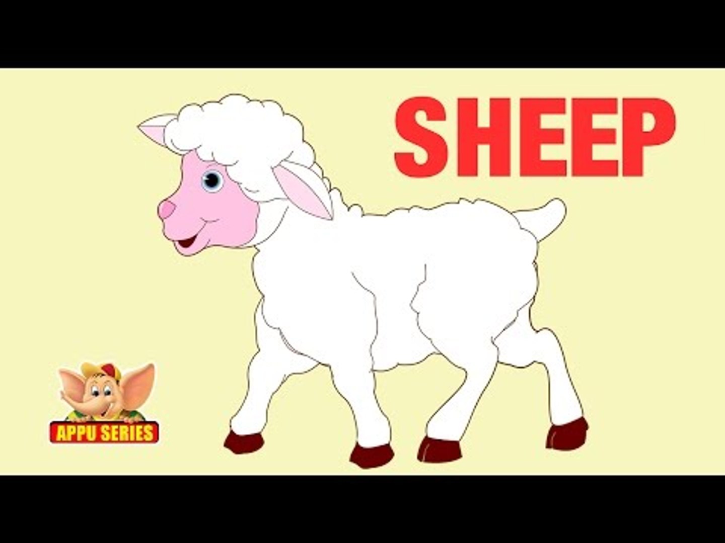 ⁣Animal Facts - Sheep